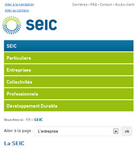 SEIC : Une page du site en version Smartphone