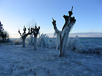 Un champ de glace